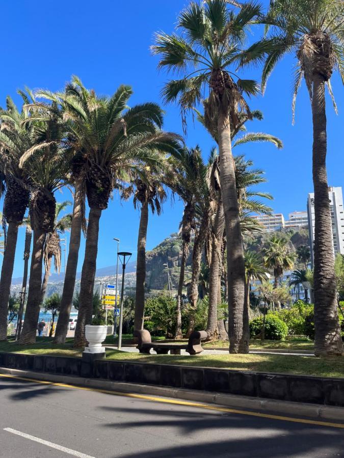 Estudio-Szl Puerto de la Cruz  Exteriér fotografie